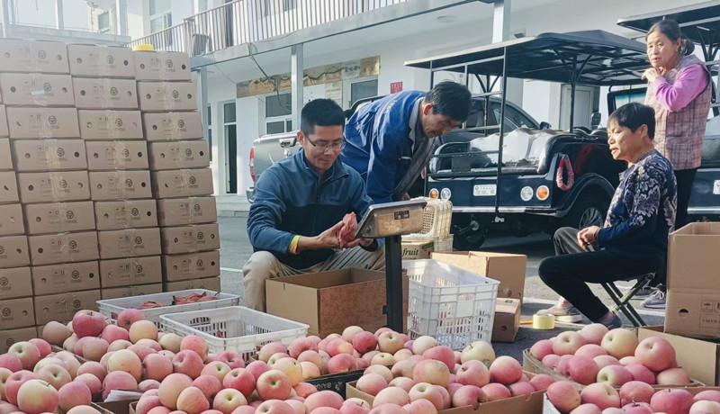 1702615018319056140.jpg 9087_副本.jpg